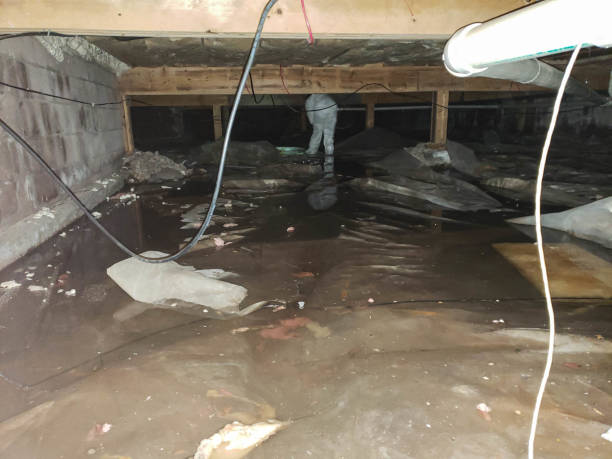 Best Wood Floor Water Damage Restoration in Elmira, NY